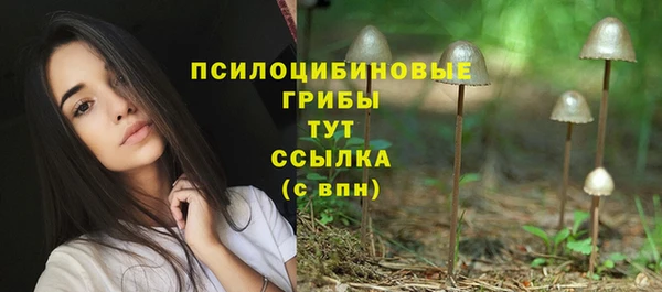 скорость Богородицк