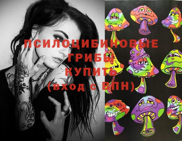 скорость Богородицк